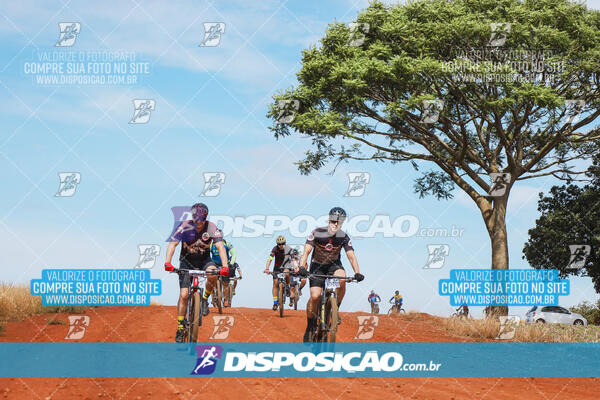 Pedala Paraná - Rota do Caramuru 2024