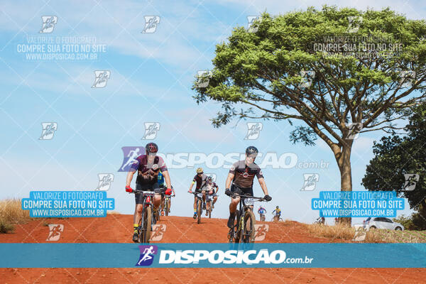 Pedala Paraná - Rota do Caramuru 2024