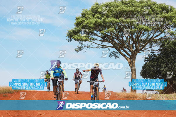 Pedala Paraná - Rota do Caramuru 2024