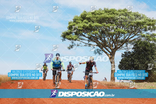 Pedala Paraná - Rota do Caramuru 2024