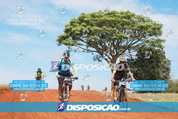 Pedala Paraná - Rota do Caramuru 2024