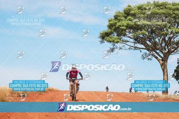 Pedala Paraná - Rota do Caramuru 2024