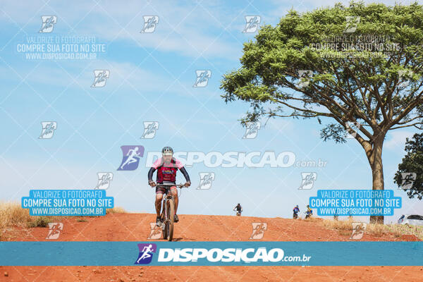 Pedala Paraná - Rota do Caramuru 2024