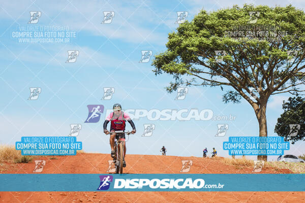 Pedala Paraná - Rota do Caramuru 2024