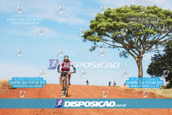 Pedala Paraná - Rota do Caramuru 2024