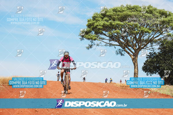 Pedala Paraná - Rota do Caramuru 2024