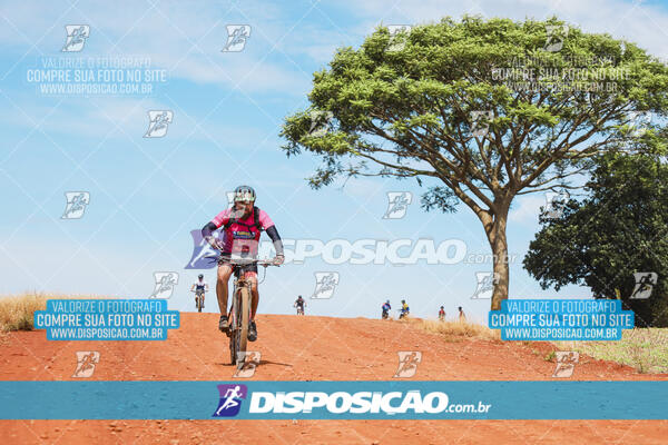 Pedala Paraná - Rota do Caramuru 2024