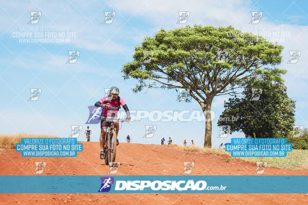 Pedala Paraná - Rota do Caramuru 2024