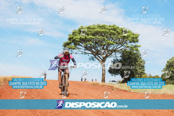 Pedala Paraná - Rota do Caramuru 2024