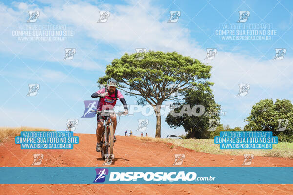 Pedala Paraná - Rota do Caramuru 2024