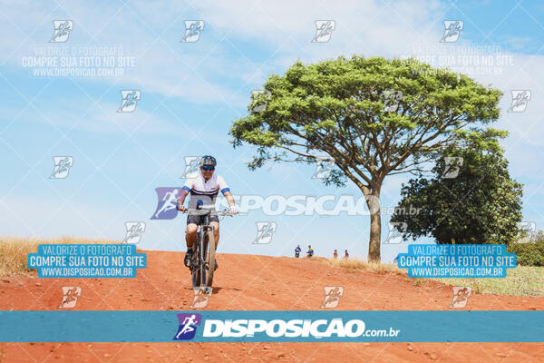 Pedala Paraná - Rota do Caramuru 2024