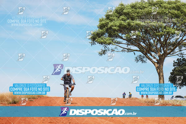 Pedala Paraná - Rota do Caramuru 2024