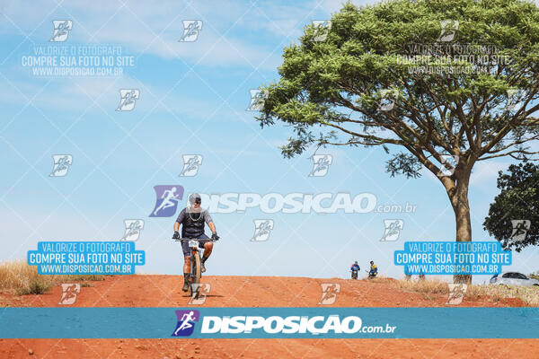 Pedala Paraná - Rota do Caramuru 2024