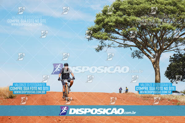 Pedala Paraná - Rota do Caramuru 2024