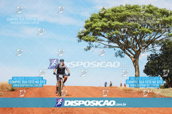 Pedala Paraná - Rota do Caramuru 2024