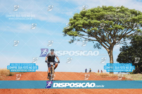 Pedala Paraná - Rota do Caramuru 2024