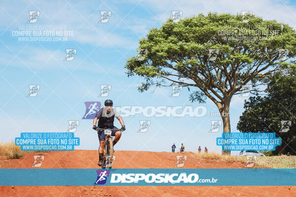 Pedala Paraná - Rota do Caramuru 2024