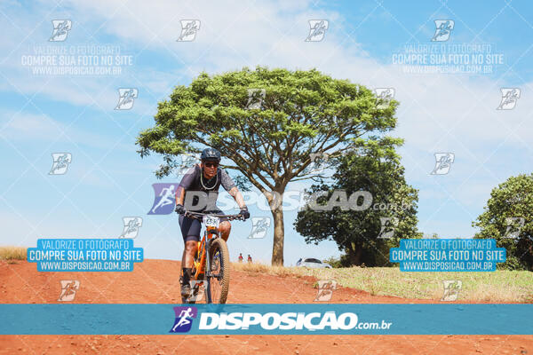 Pedala Paraná - Rota do Caramuru 2024