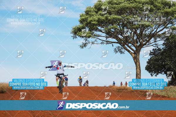 Pedala Paraná - Rota do Caramuru 2024