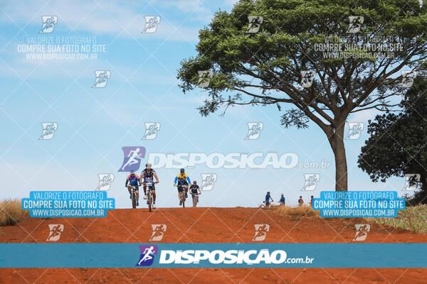 Pedala Paraná - Rota do Caramuru 2024