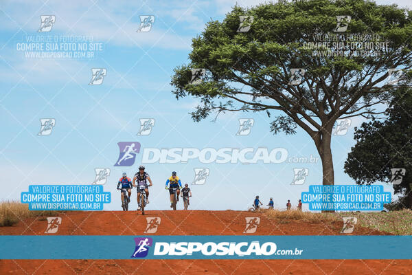 Pedala Paraná - Rota do Caramuru 2024