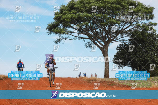 Pedala Paraná - Rota do Caramuru 2024