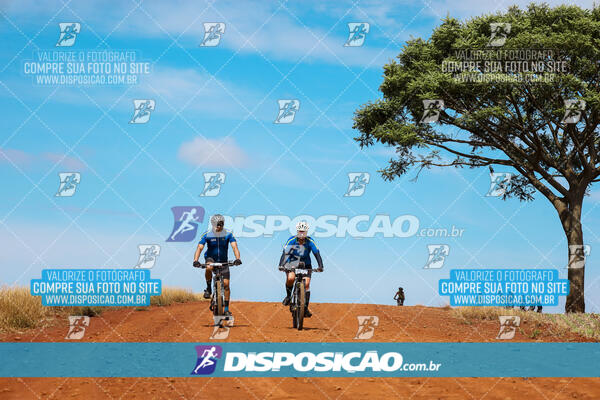 Pedala Paraná - Rota do Caramuru 2024