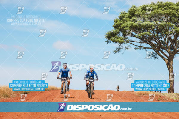 Pedala Paraná - Rota do Caramuru 2024