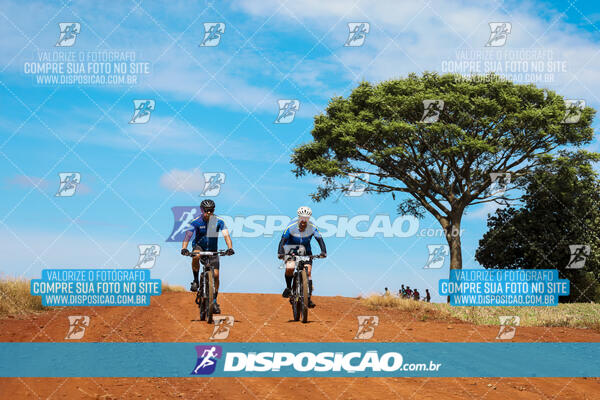 Pedala Paraná - Rota do Caramuru 2024