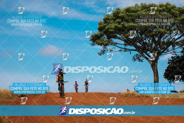 Pedala Paraná - Rota do Caramuru 2024