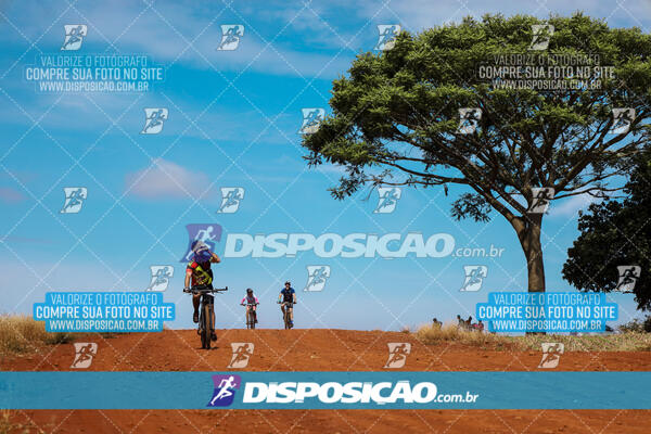 Pedala Paraná - Rota do Caramuru 2024