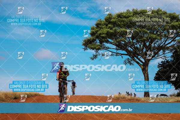 Pedala Paraná - Rota do Caramuru 2024