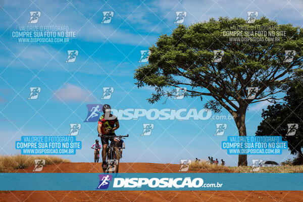 Pedala Paraná - Rota do Caramuru 2024