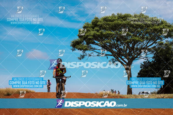 Pedala Paraná - Rota do Caramuru 2024