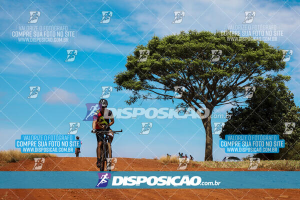 Pedala Paraná - Rota do Caramuru 2024