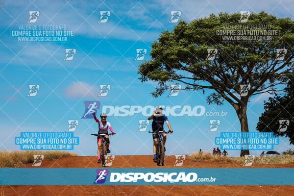 Pedala Paraná - Rota do Caramuru 2024