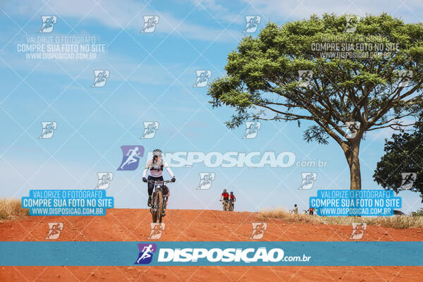 Pedala Paraná - Rota do Caramuru 2024