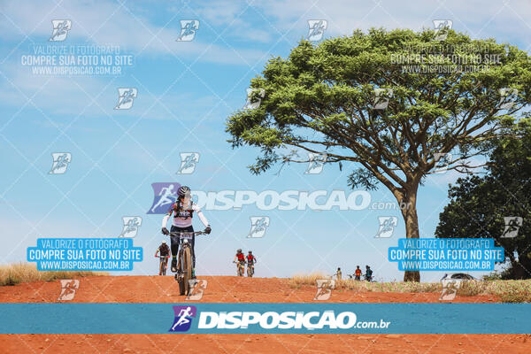 Pedala Paraná - Rota do Caramuru 2024