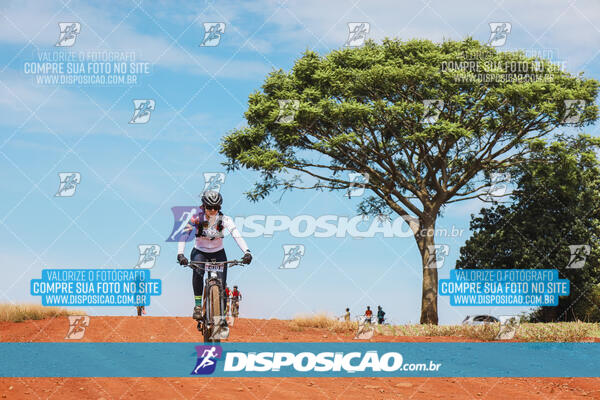 Pedala Paraná - Rota do Caramuru 2024