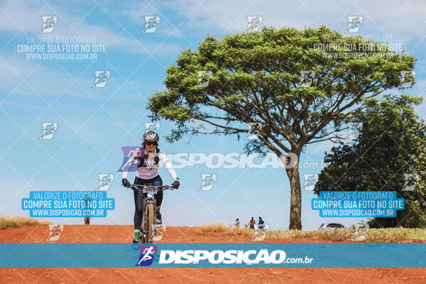 Pedala Paraná - Rota do Caramuru 2024