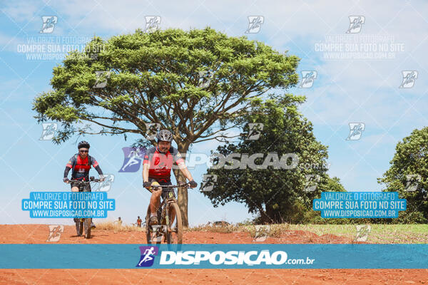 Pedala Paraná - Rota do Caramuru 2024