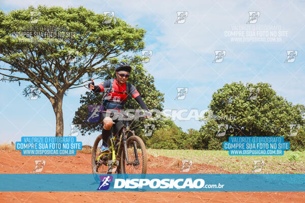 Pedala Paraná - Rota do Caramuru 2024