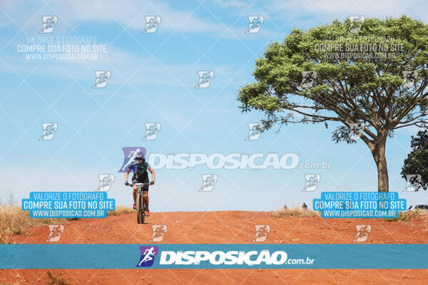 Pedala Paraná - Rota do Caramuru 2024