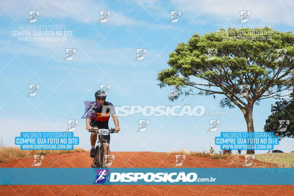 Pedala Paraná - Rota do Caramuru 2024