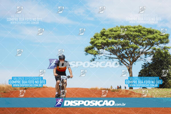 Pedala Paraná - Rota do Caramuru 2024