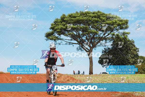 Pedala Paraná - Rota do Caramuru 2024