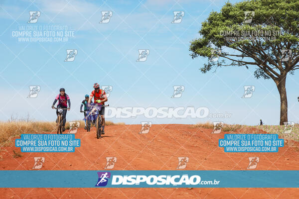 Pedala Paraná - Rota do Caramuru 2024