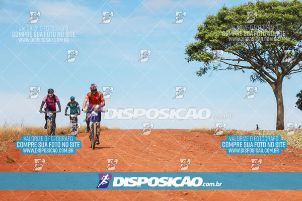 Pedala Paraná - Rota do Caramuru 2024