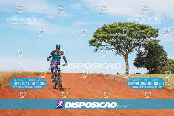 Pedala Paraná - Rota do Caramuru 2024