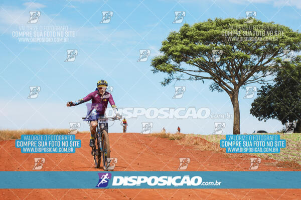 Pedala Paraná - Rota do Caramuru 2024